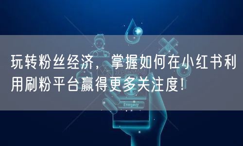 玩转粉丝经济，掌握如何在小红书利用刷粉平