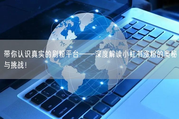 带你认识真实的刷粉平台——深度解读小红书