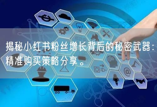 揭秘小红书粉丝增长背后的秘密武器：精准购