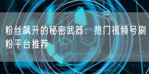 粉丝飙升的秘密武器：热门视频号刷粉平台推荐