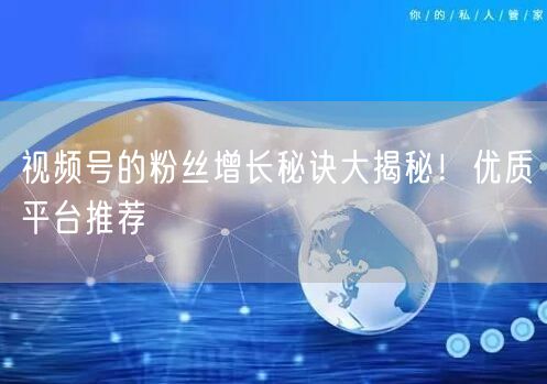 视频号的粉丝增长秘诀大揭秘！优质平台推荐