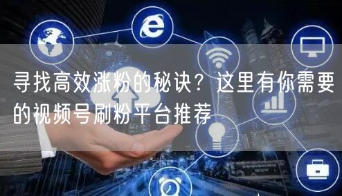 寻找高效涨粉的秘诀？这里有你需要的视频号刷粉平台推荐