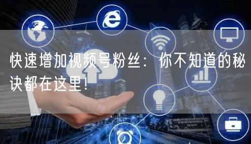 快速增加视频号粉丝：你不知道的秘诀都在这里！
