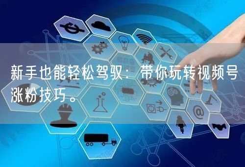 新手也能轻松驾驭：带你玩转视频号涨粉技巧。