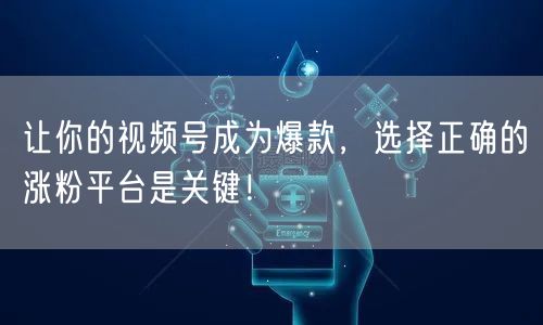 让你的视频号成为爆款，选择正确的涨粉平台是关键！