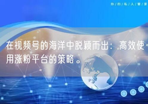 在视频号的海洋中脱颖而出：高效使用涨粉平