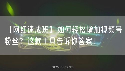 【网红速成班】如何轻松增加视频号粉丝？这款工具告诉你答案！