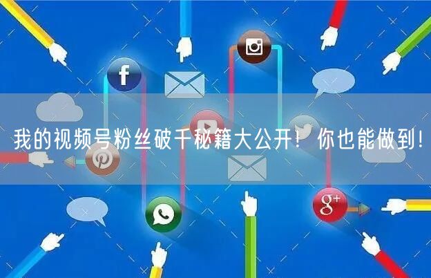 我的视频号粉丝破千秘籍大公开！你也能做到！